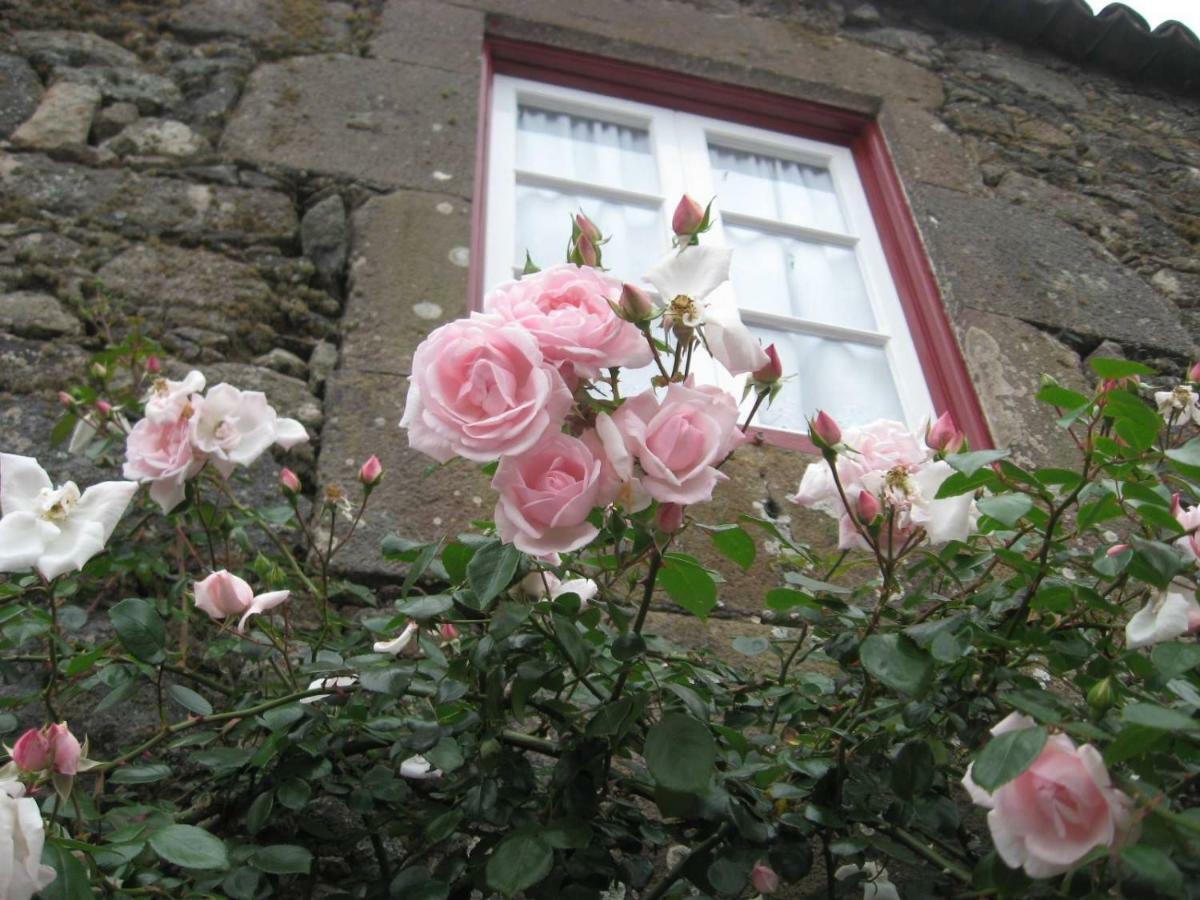 Casa Da Roseira Villa นอร์เดสติ ภายนอก รูปภาพ