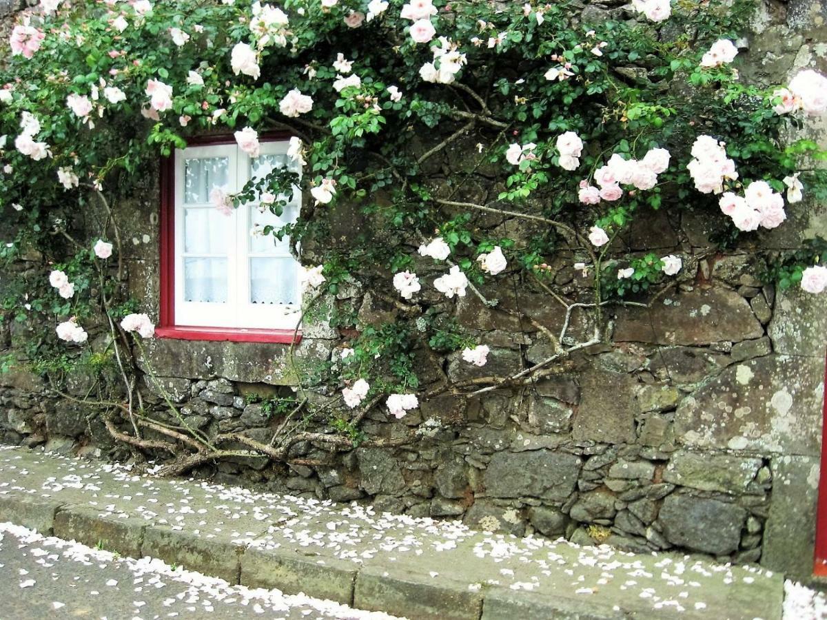 Casa Da Roseira Villa นอร์เดสติ ภายนอก รูปภาพ